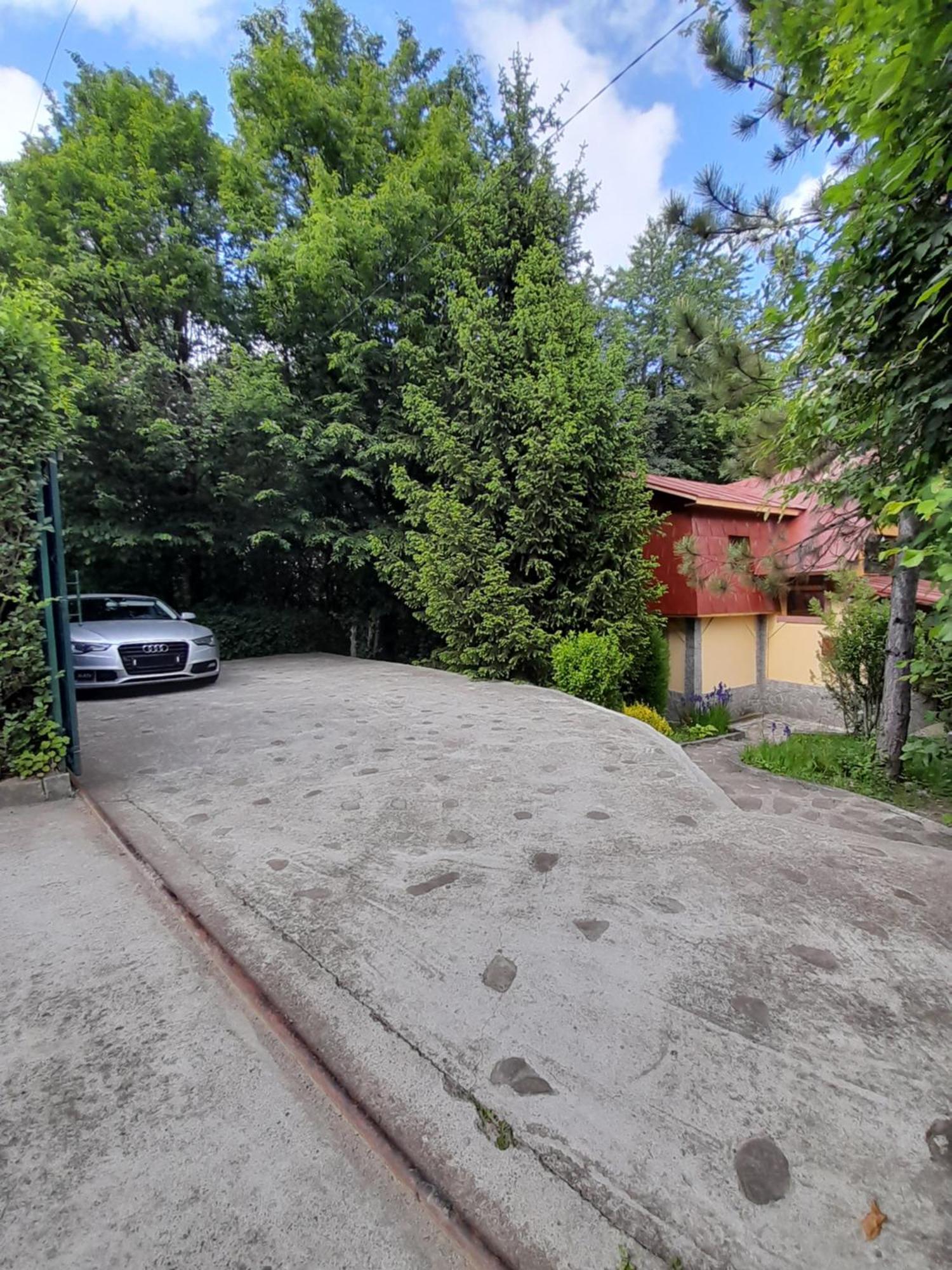 Cabana Din Padurea Valeni Вэлени-де-Мунте Экстерьер фото