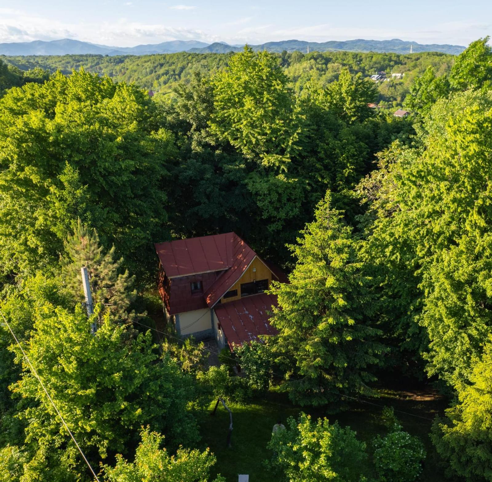 Cabana Din Padurea Valeni Вэлени-де-Мунте Экстерьер фото